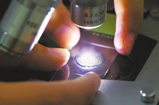 神奇發酵劑 生物制品的創新引擎與應用前景